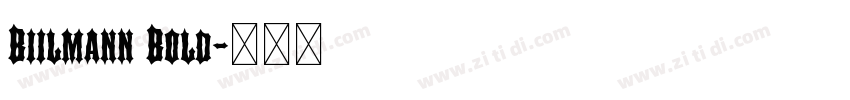 Biilmann Bold字体转换
